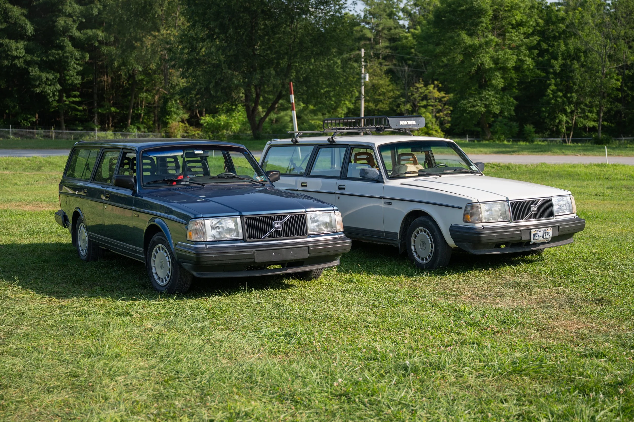 DSC_9770.jpg