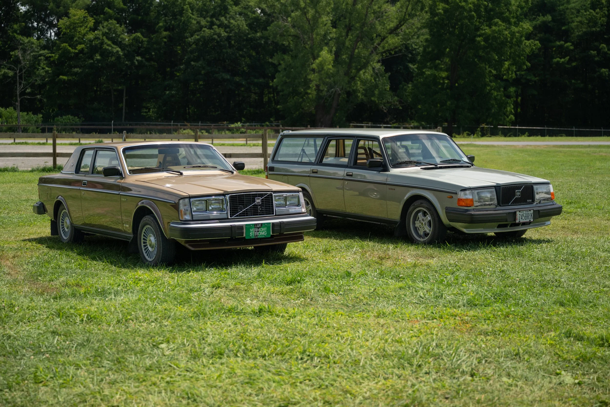 DSC_9805.jpg