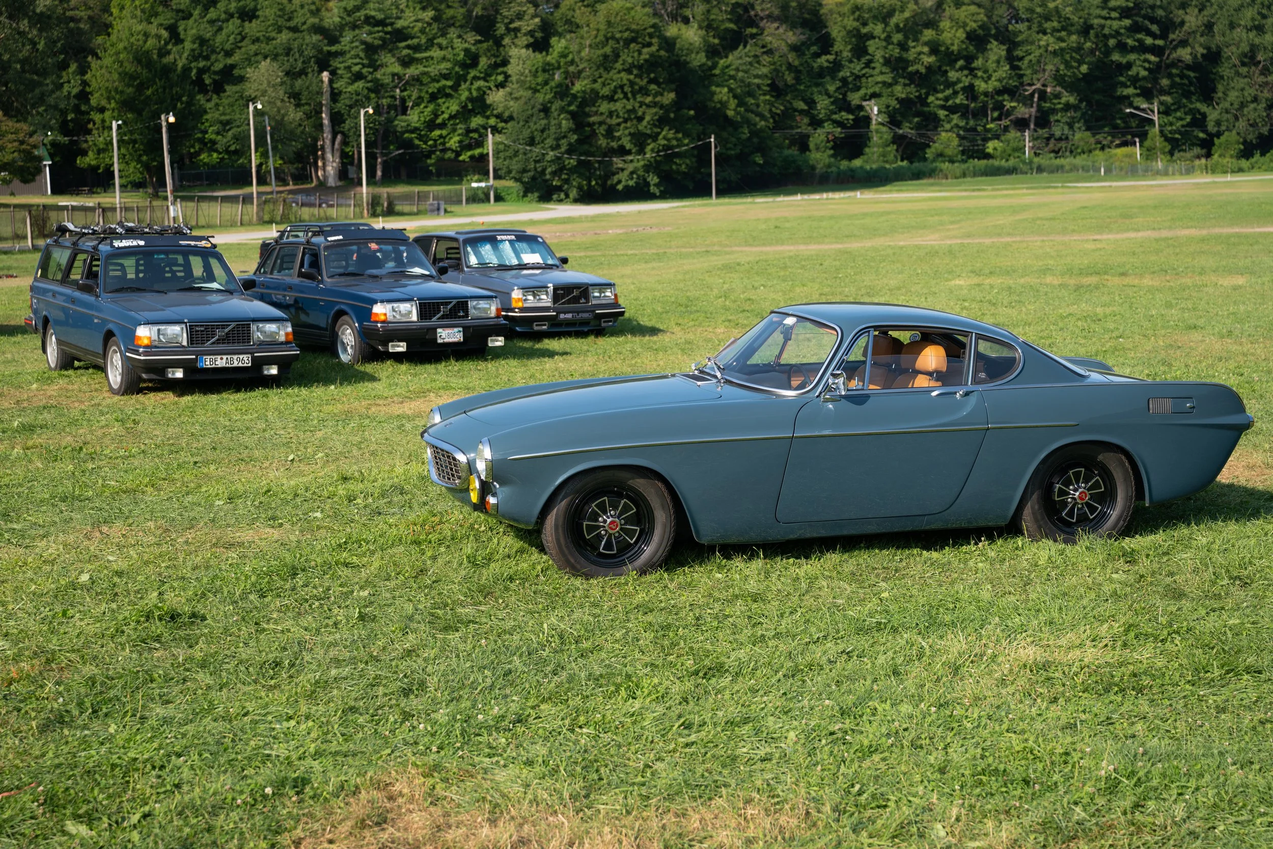 DSC_9780.jpg