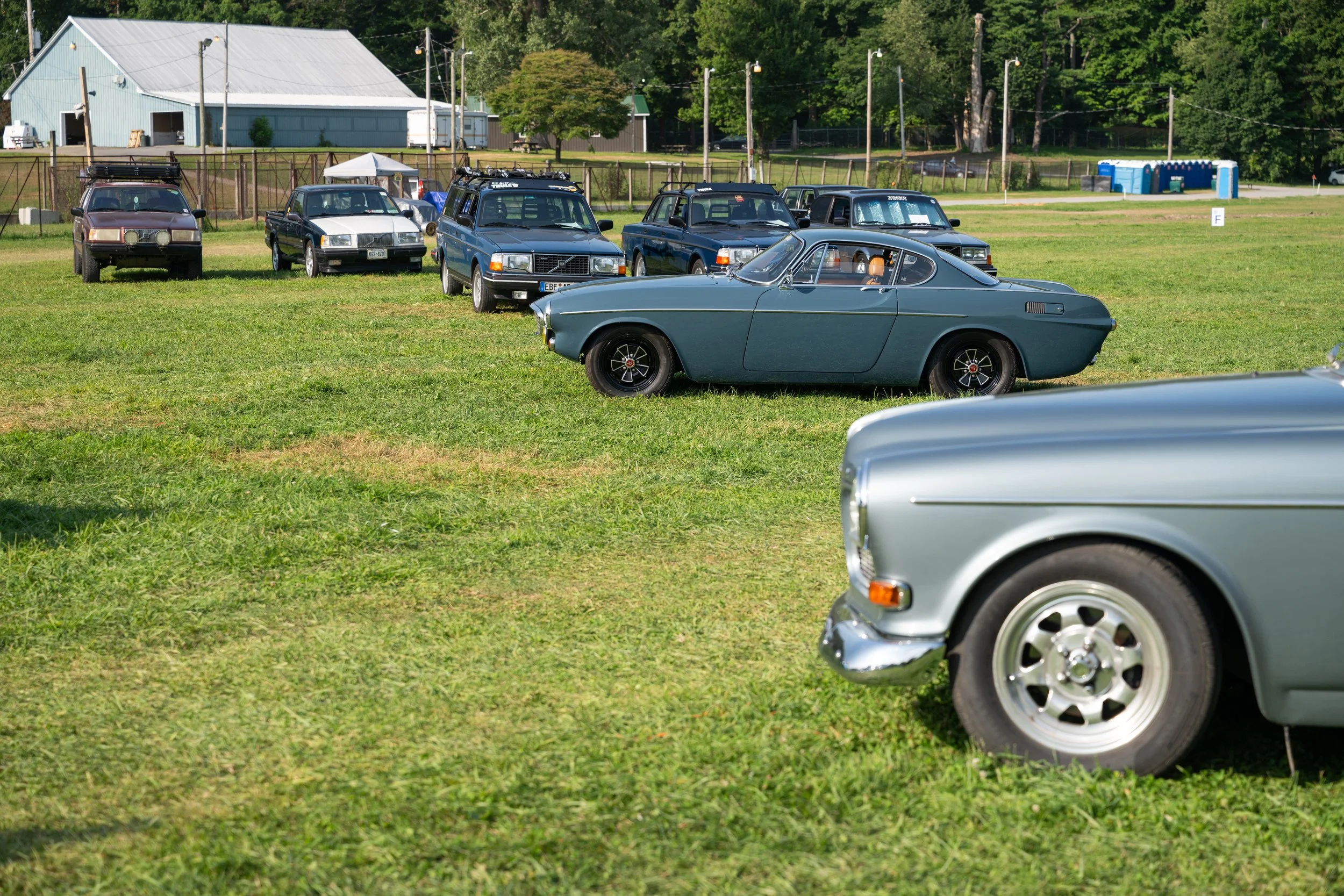 DSC_9778.jpg