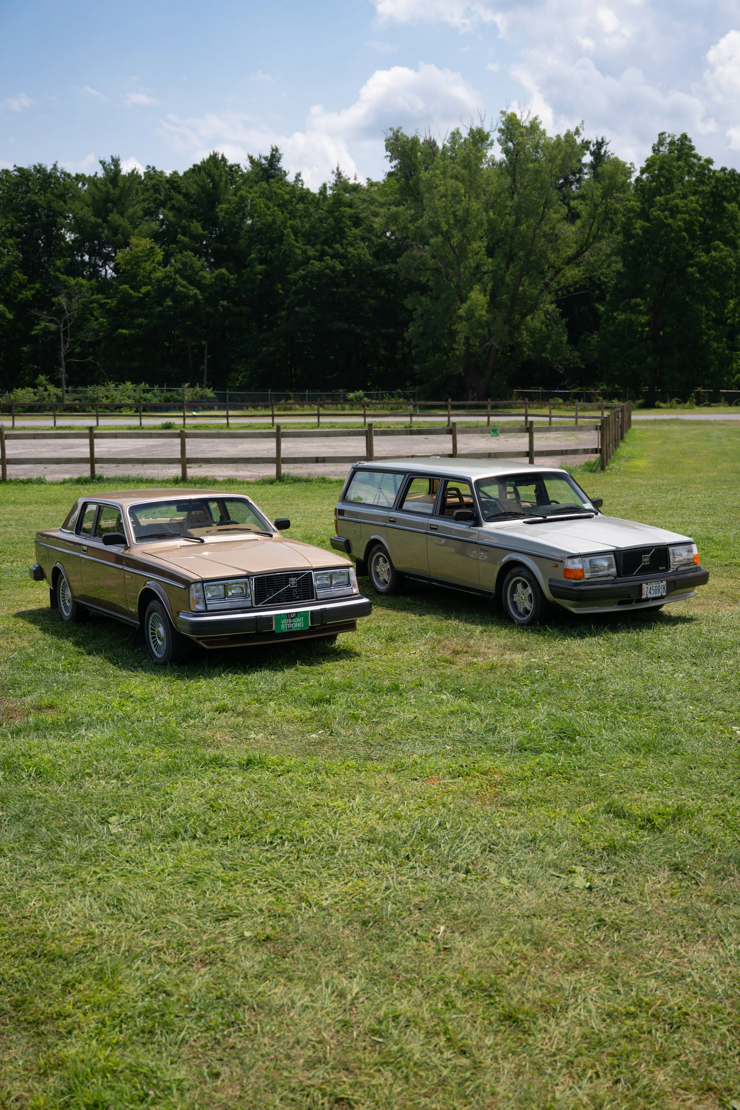 DSC_9803.jpg