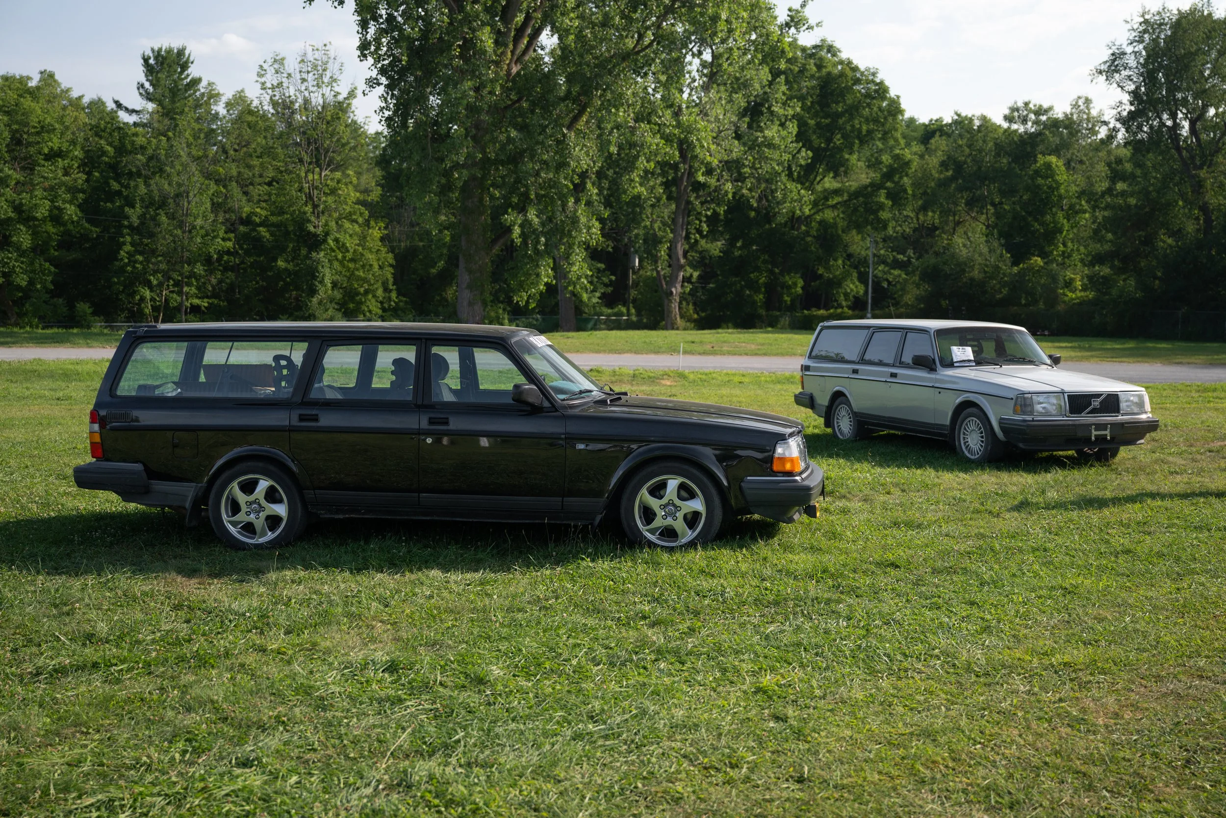 DSC_9773.jpg