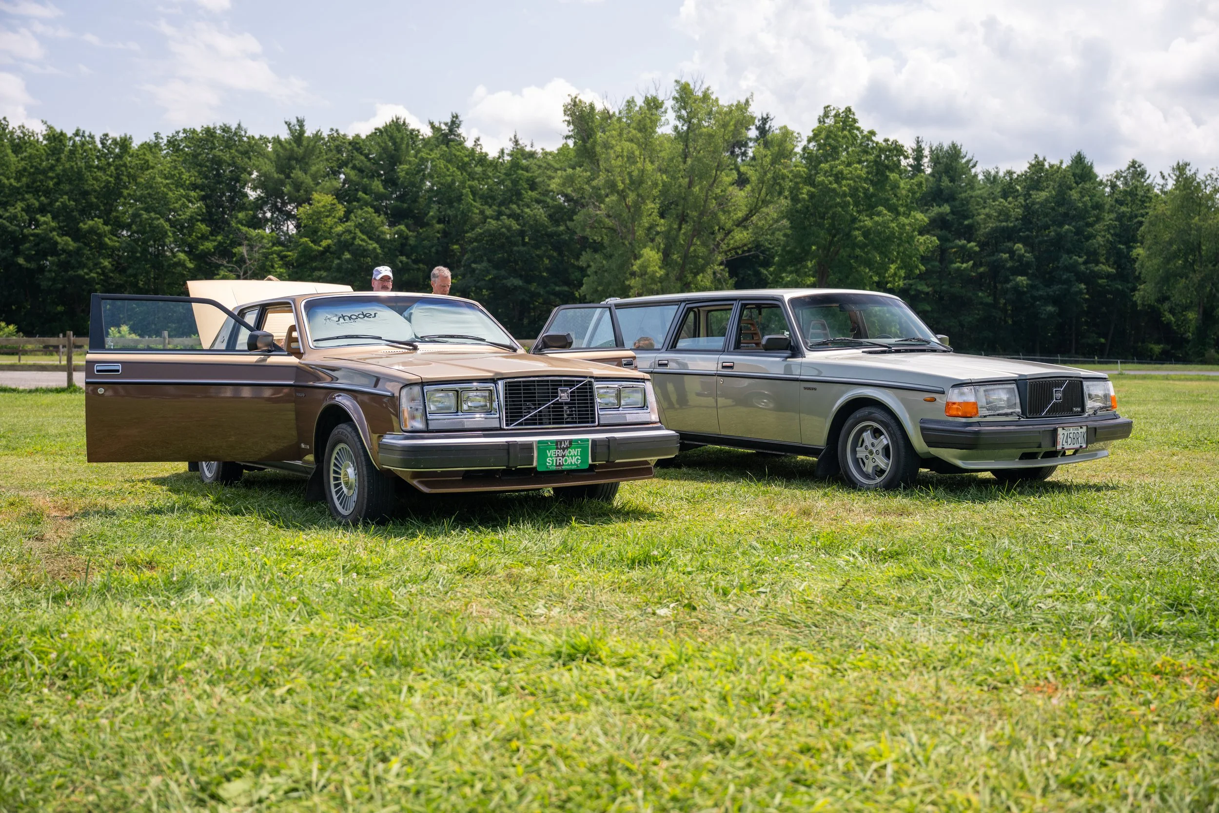 DSC_9788.jpg