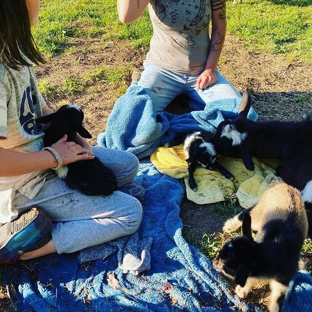 3?