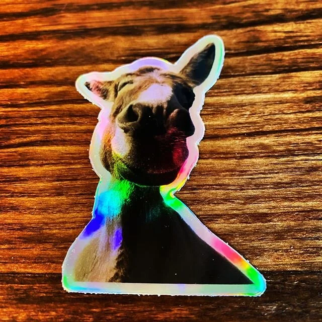 Just received our Limited Edition SRF stickers from @stickermule and they are AMAZING!  We have limited numbers so get em while they&rsquo;re hot!!!