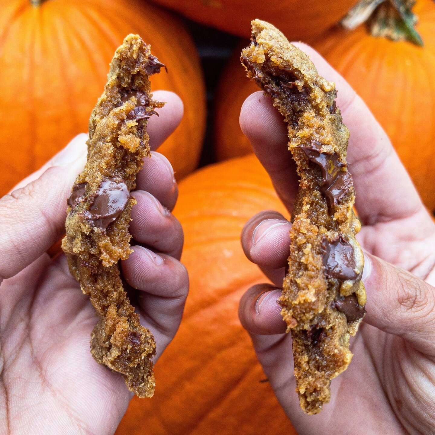 🎃 COOKIE CONTEST! 🎃⁠
⁠
October is finally here!⁠
⁠
The trees begin to radiate with color, the breeze is smelling crisper, and we&rsquo;re jamming to spooky tunes while placing pumpkins on the porch. 👻🧛&zwj;♂️⁠
⁠
I'm doing a contest for the entire