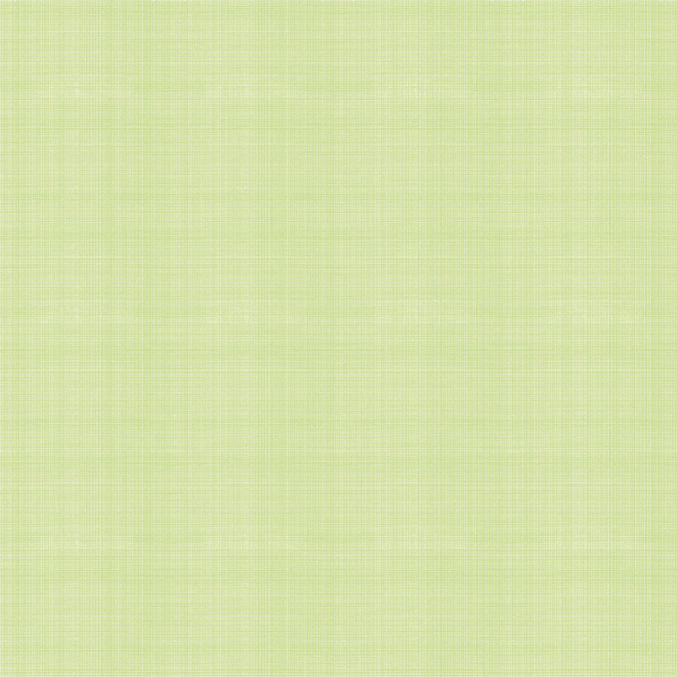 WH 3100 09 Colorway Lime