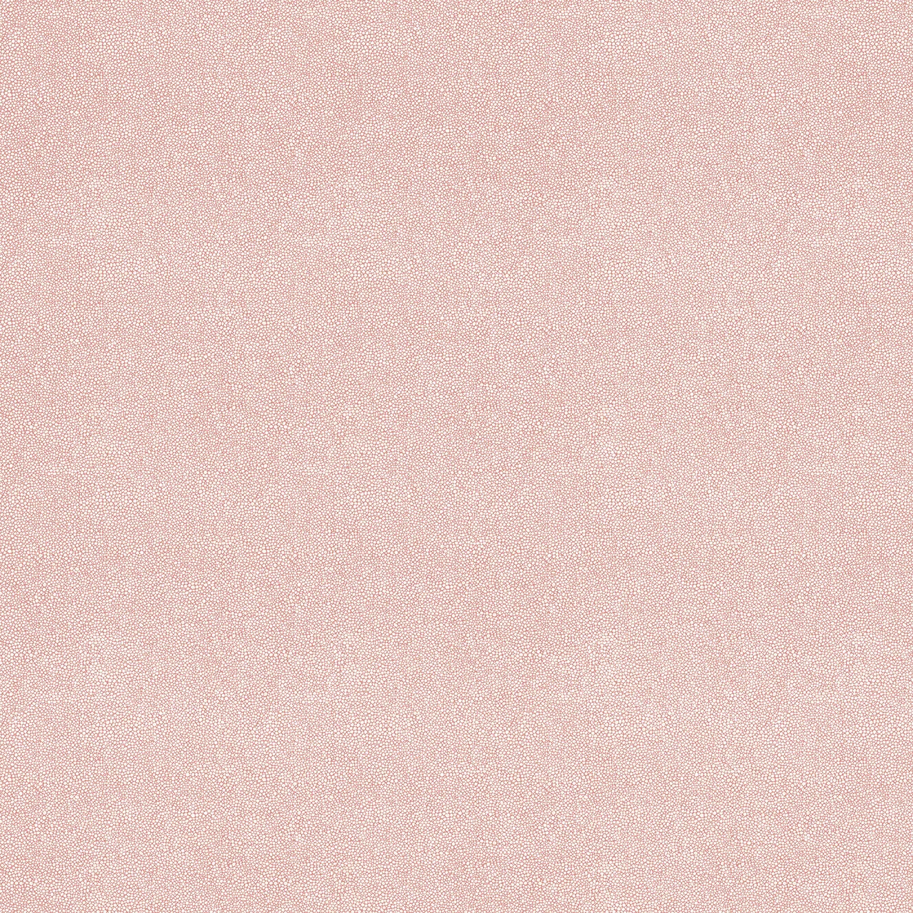 WH 378 08 Colorway Coral