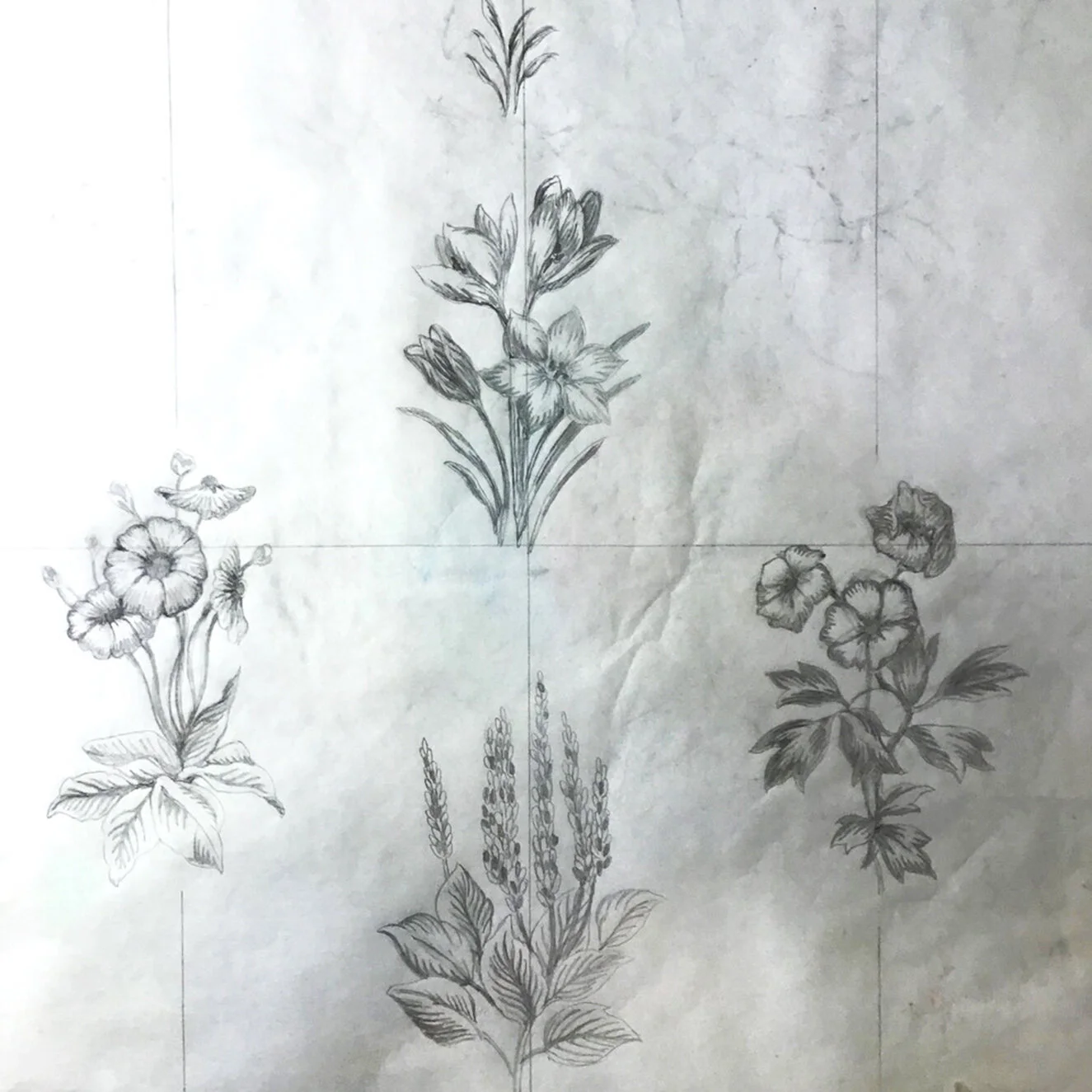 black and white photo premilinary_ rough sketck 60 x 1325.jpg