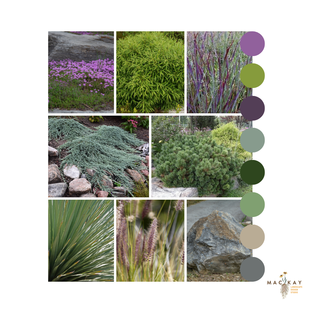 Untitled design.zip - 2.png