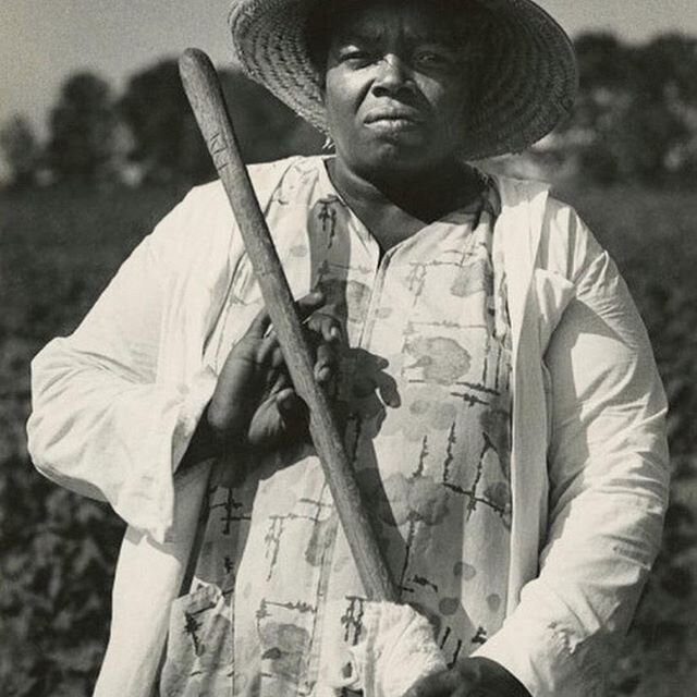 #amplifyblackstories  Repost from @ambertamm
&bull;
The Overlooked Narratives of the Black Farmer Woman
Repost from @lagoodfood .
.
&ldquo;#BlackHistoryMonth might be over technically, but #blackhistorymontheverymonth ✨ 
#FannieLouHamer was an Americ