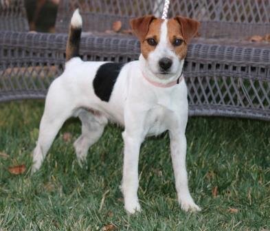 swiper pic 2015 091.JPG