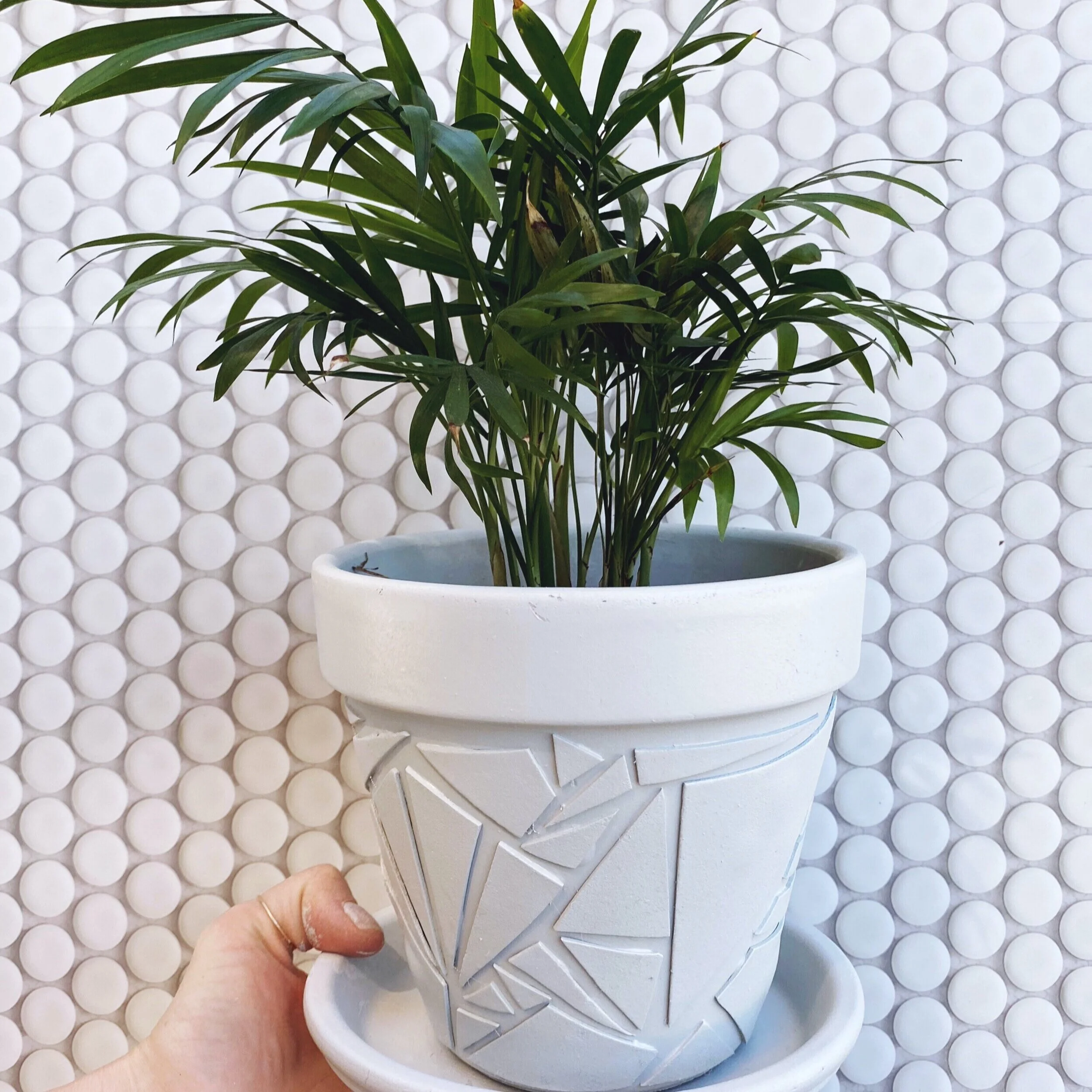 Modern Terra Cotta Houseplant Pot  