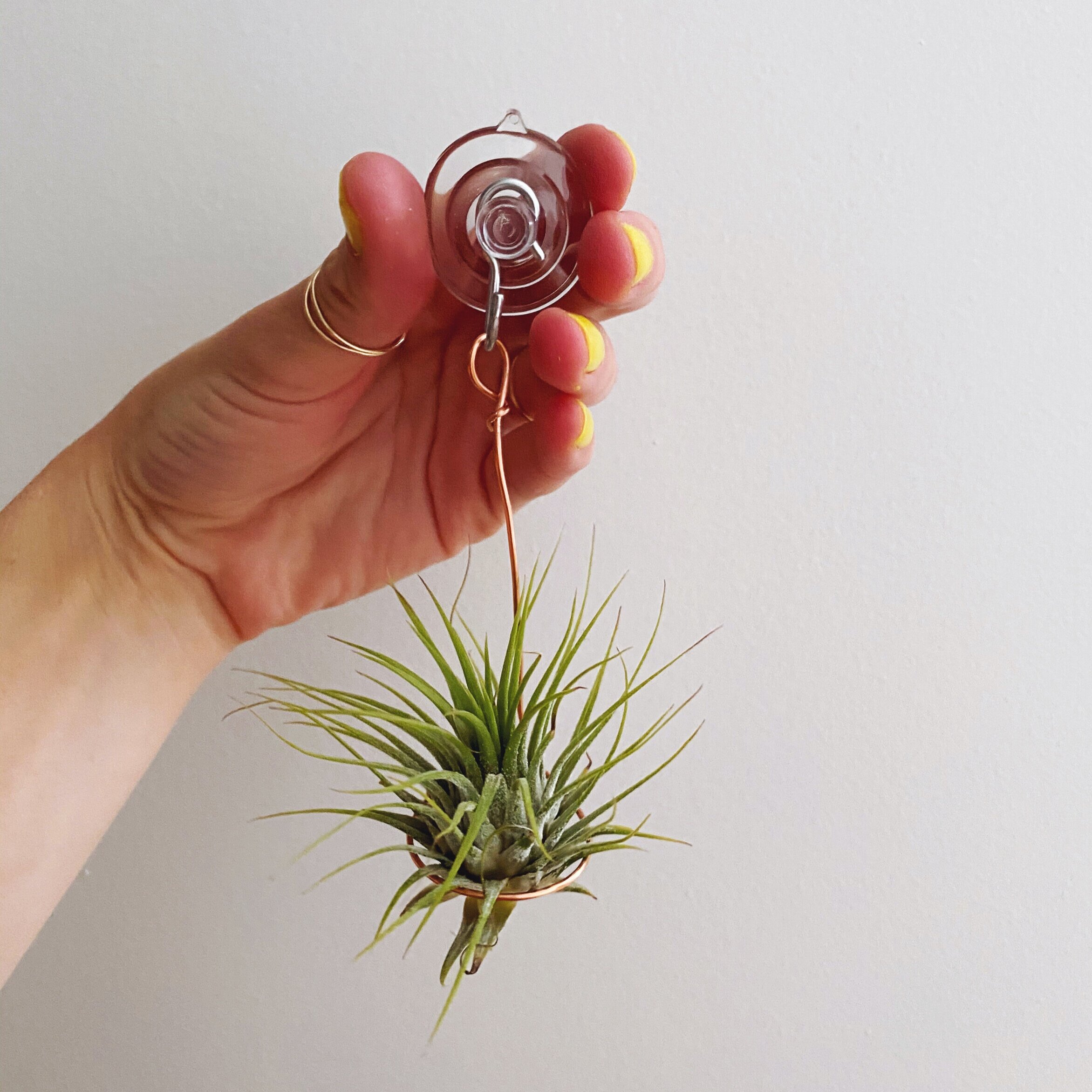 Three DIY Copper Wire Airplant Holders — Always & Whatever