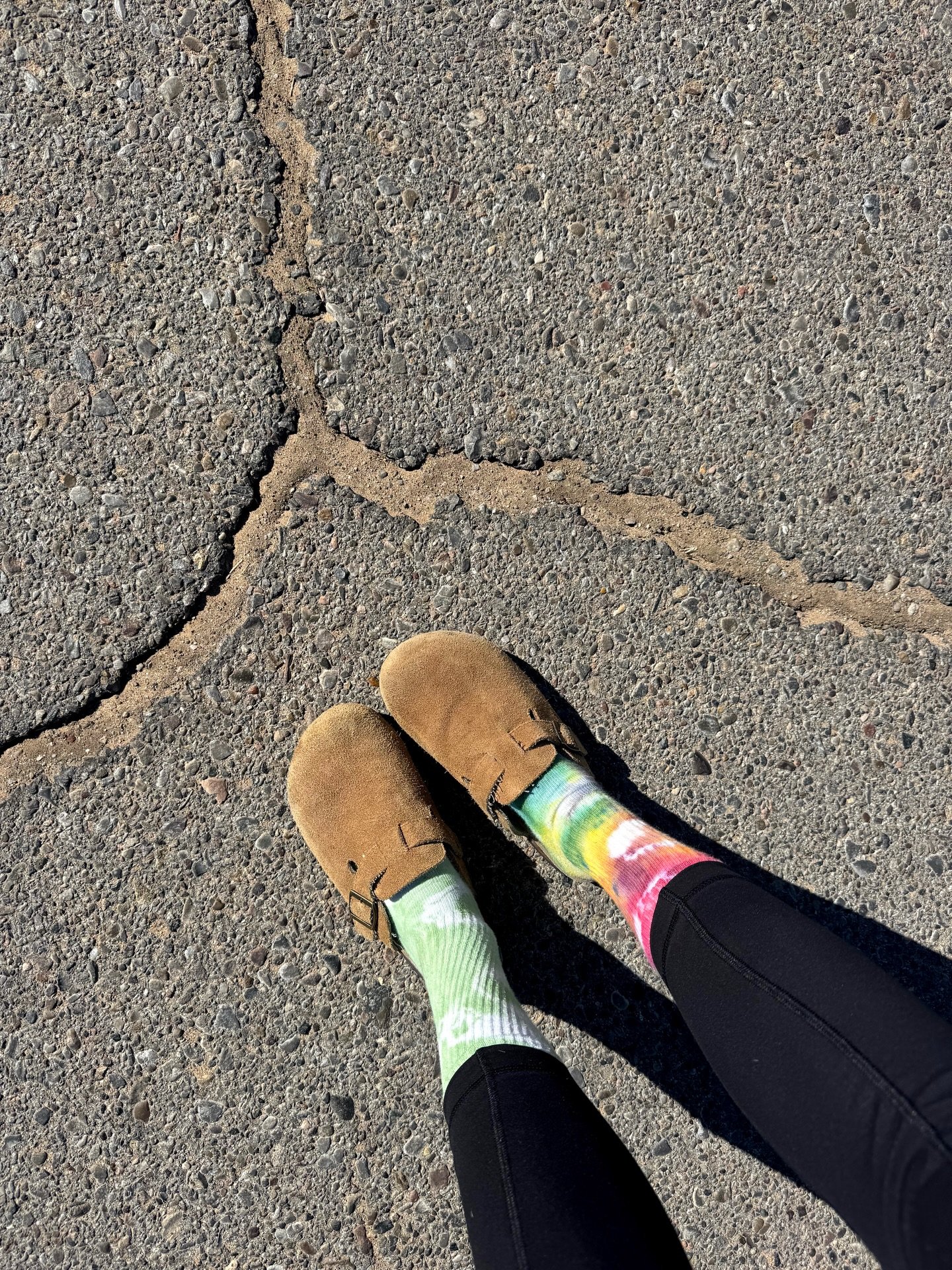 My favorite sock day of the year; one green, one rainbow. 🧦🌈🍀✨🫶🏼💖

Q came straight home + made a leprechaun trap. Being a parent is so stressful 😂🤗🤪

#stpatricksday #tiedyed #rainbowsaremyfavorite #springisnear #gardenplanning