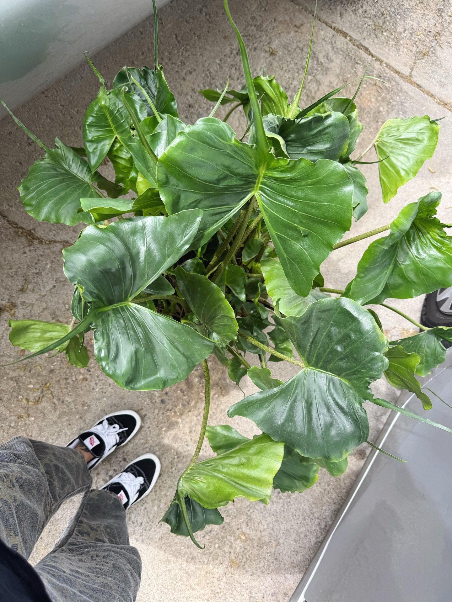 Time flies when you&rsquo;re having fun. Such a fun weekend full of adventures 🫶🏼🔥💖🤗✨

#livingoutloud #momlife #plantmom #busyweekend