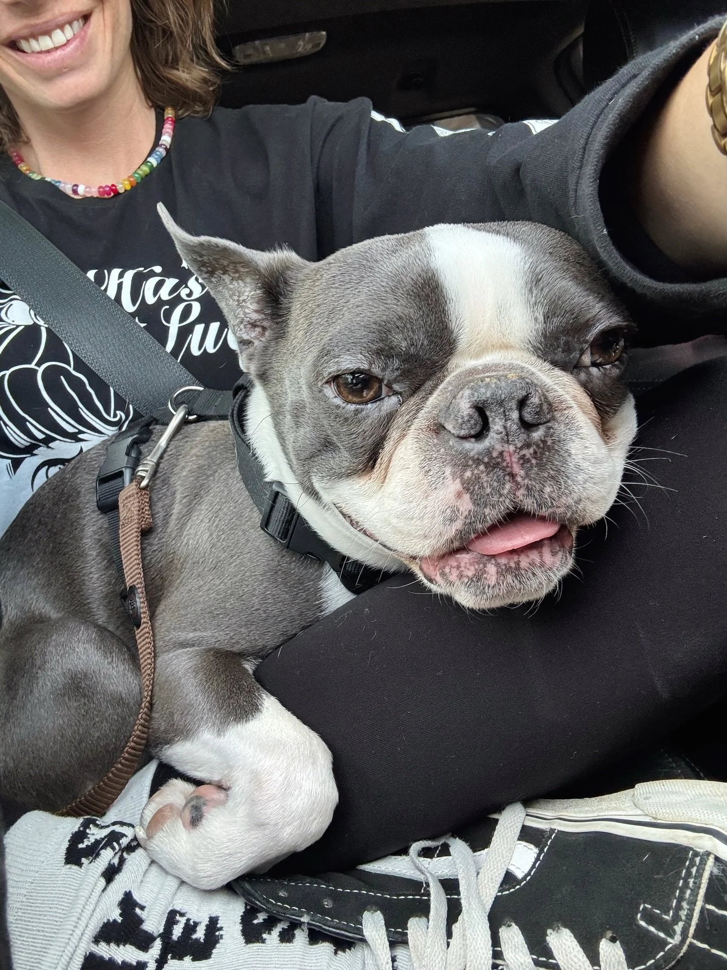 We made it up to the mountains, aka the place where I store all my little &ldquo;hoards&rdquo; 🤭✨ Did you know I&rsquo;m basically an organized hoarder? 🤗🫣

Found my childhood Baywatch Barbies, two of my old back braces, + so many cut-up band tees