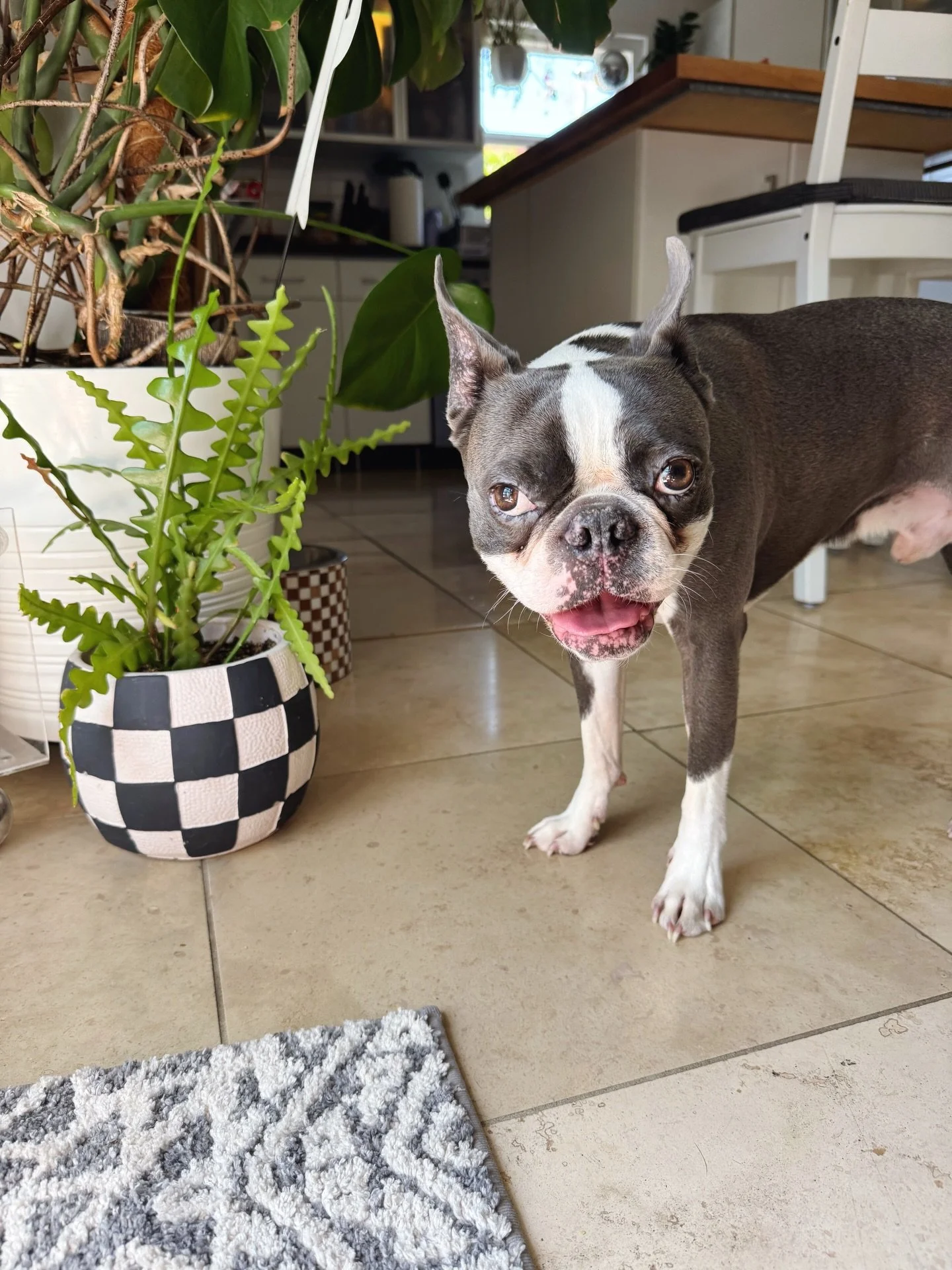 Life has been so busy. Being a mom means doing everything you can to not lose yourself while balancing work, kids, relationships, + a million appointments. ✨

The mental load is real. So when plans change, I take it as a reset! Today I hopped on my b