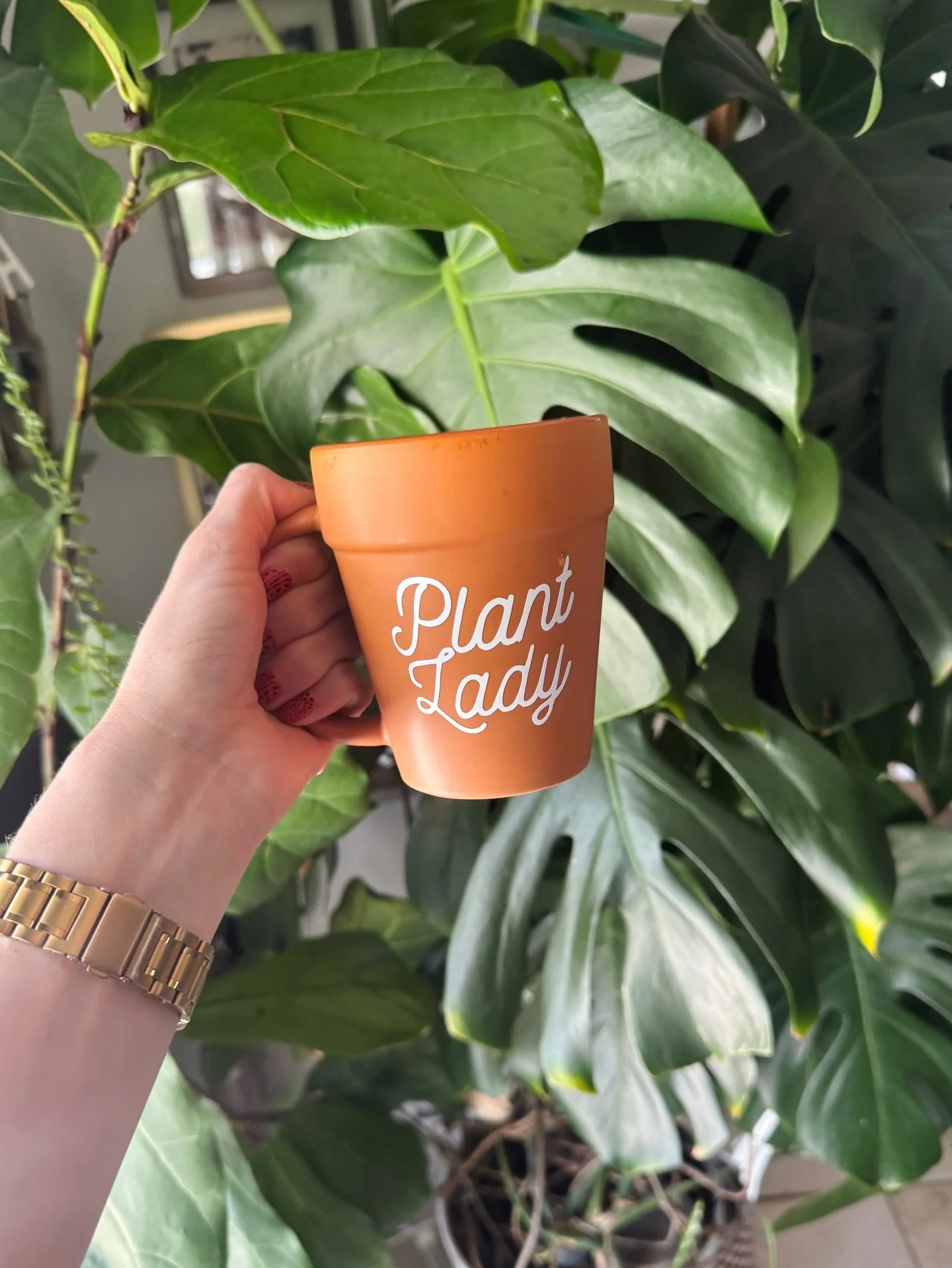 I love plants. I love clouds. I love living. Lots of love. Happy Earth Day from this plant lady 🫶🏼🌎🪴💖🌱🌷

#earthday #plantlover #livelaughlove #lovetoannoy #lotsoflove