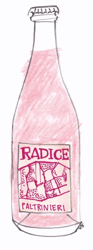 Paltrinieri Radice Lambrusco di Sorbara DOC NV