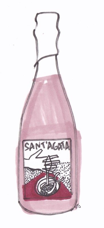 Paltrinieri Sant'agata Lambrusco di Sorbara 2017