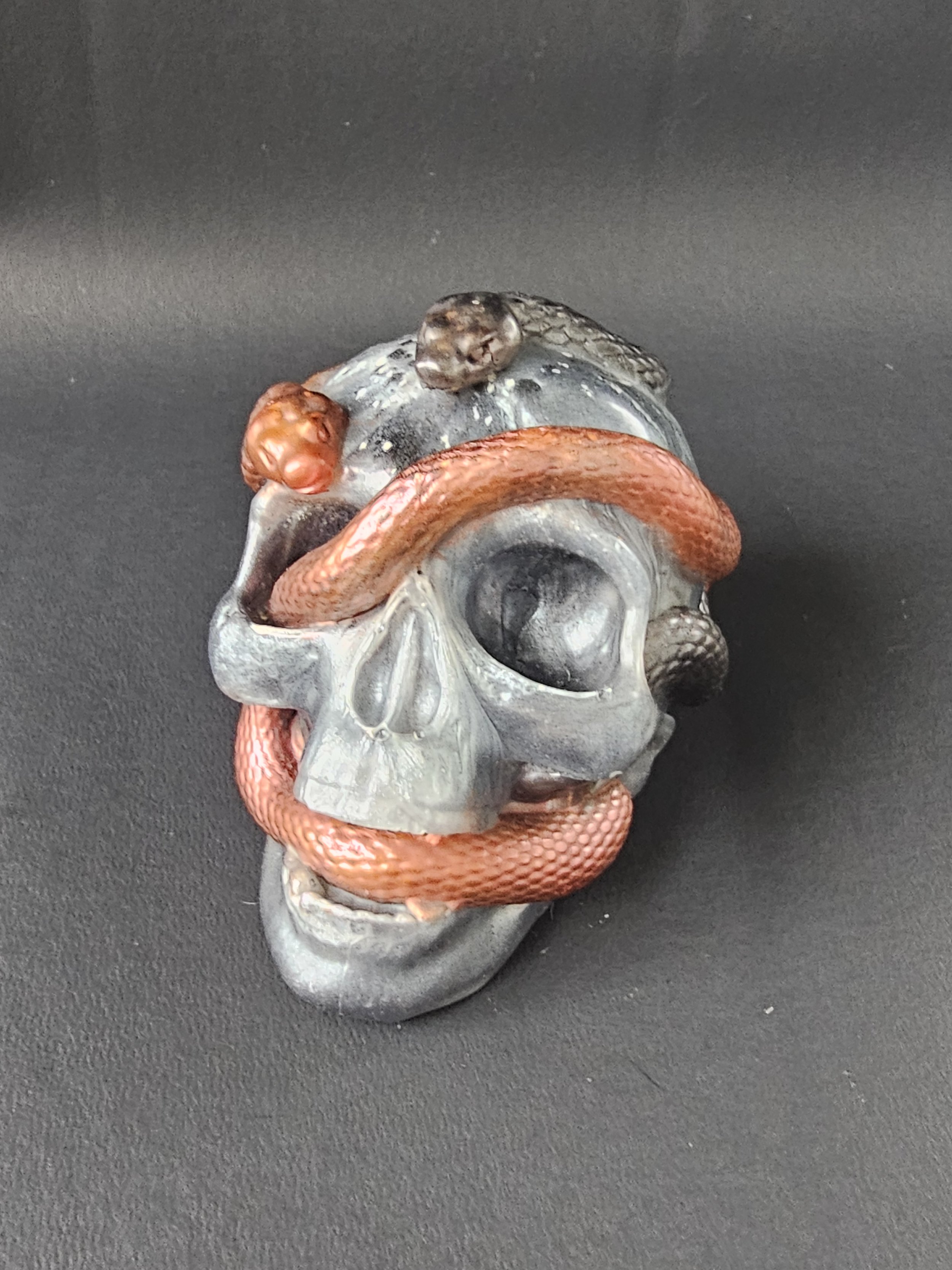 Snake and Skull