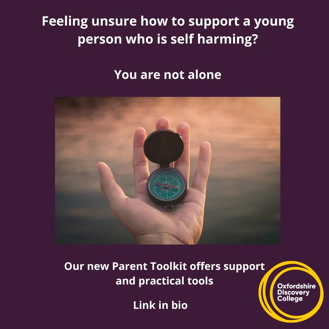 Supporting a young person who is self-harming can feel overwhelming and isolating  especially when you&rsquo;re not sure what to say or do next.

You don&rsquo;t have to navigate this alone.

Our Parent Toolkit is a live, small-group online programme
