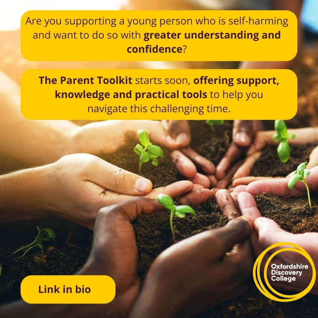 Supporting a young person who is self-harming can feel frightening and overwhelming  especially when you want to help but aren&rsquo;t sure how.

The Parent Toolkit is a live, small-group online programme offering understanding, practical tools and s
