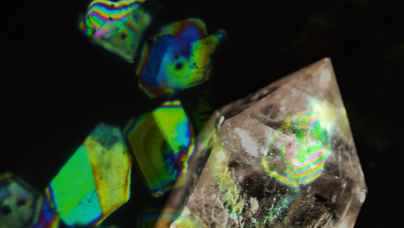 Notes-on-the-Microscopical_3.jpg