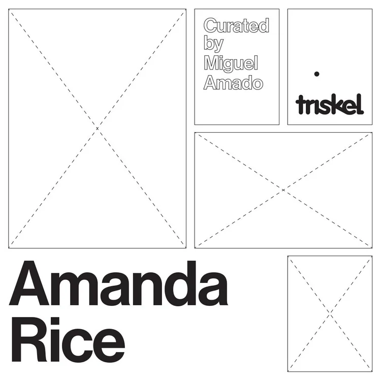 Material and Immaterial Worlds: Amanda Rice at the Triskel Arts Centre ...