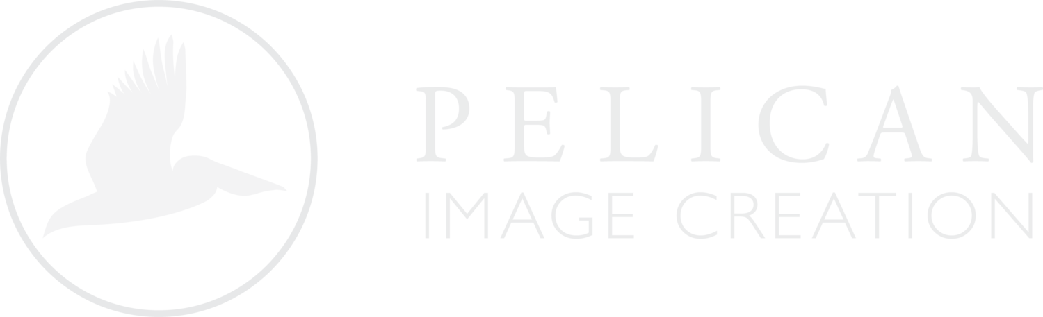 Pelican Image Creation