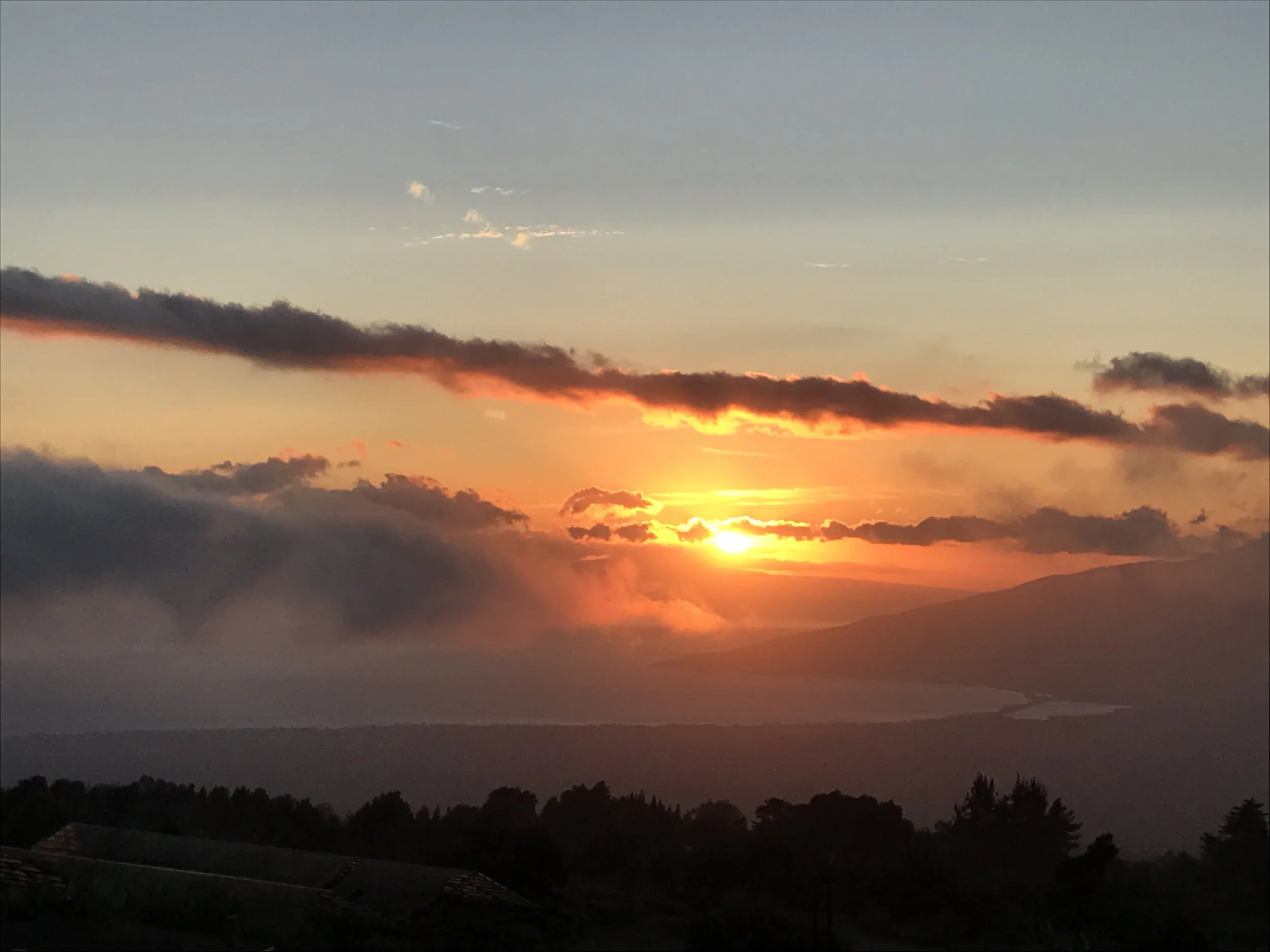 Russell Greenleaf - Oprah Farms &amp; OW Ranch