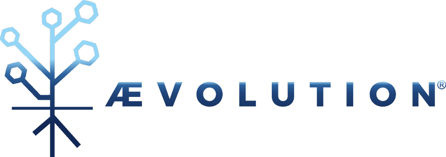 ÆVOLUTION® Consulting &amp; Services