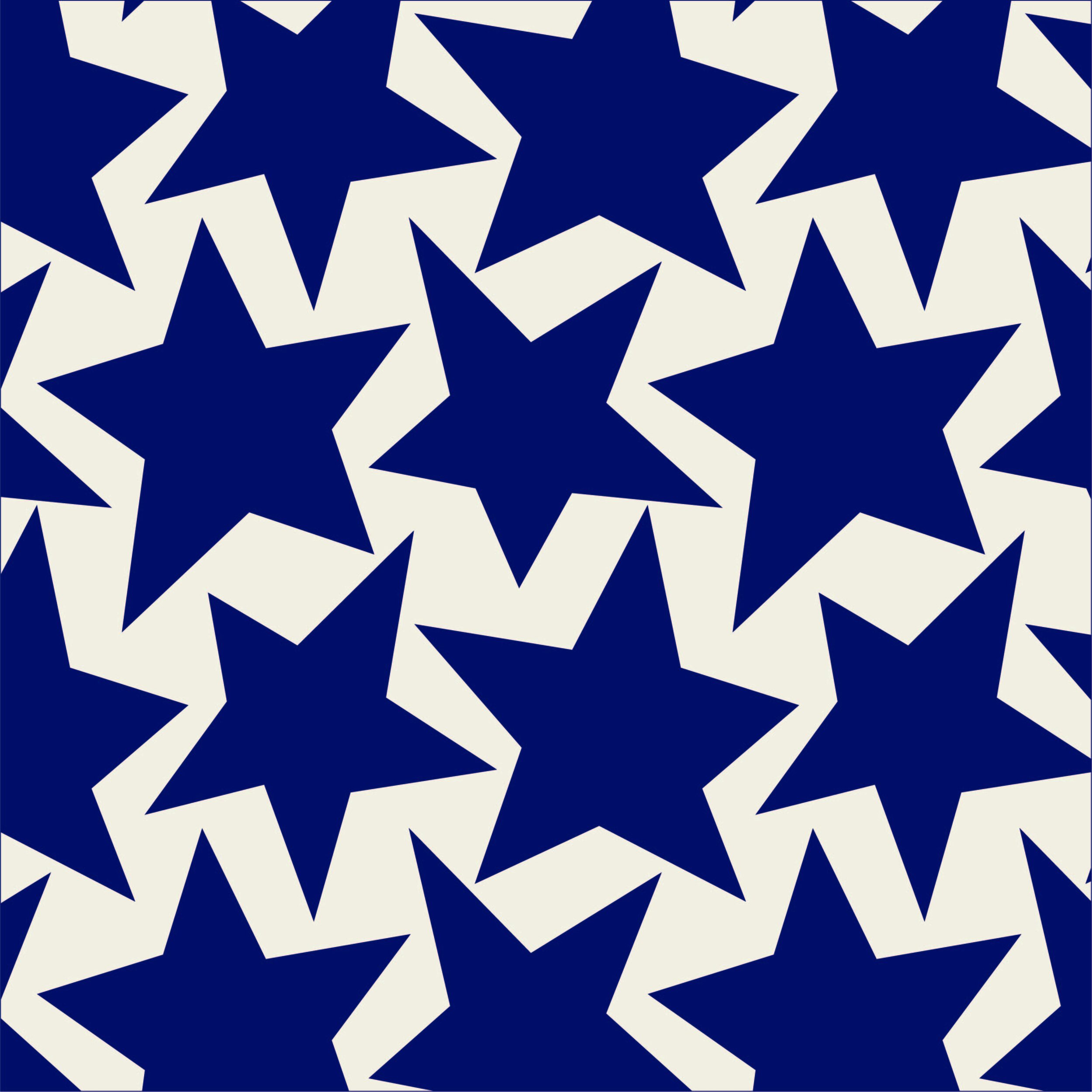 TOSSED STARS in Navy Blue