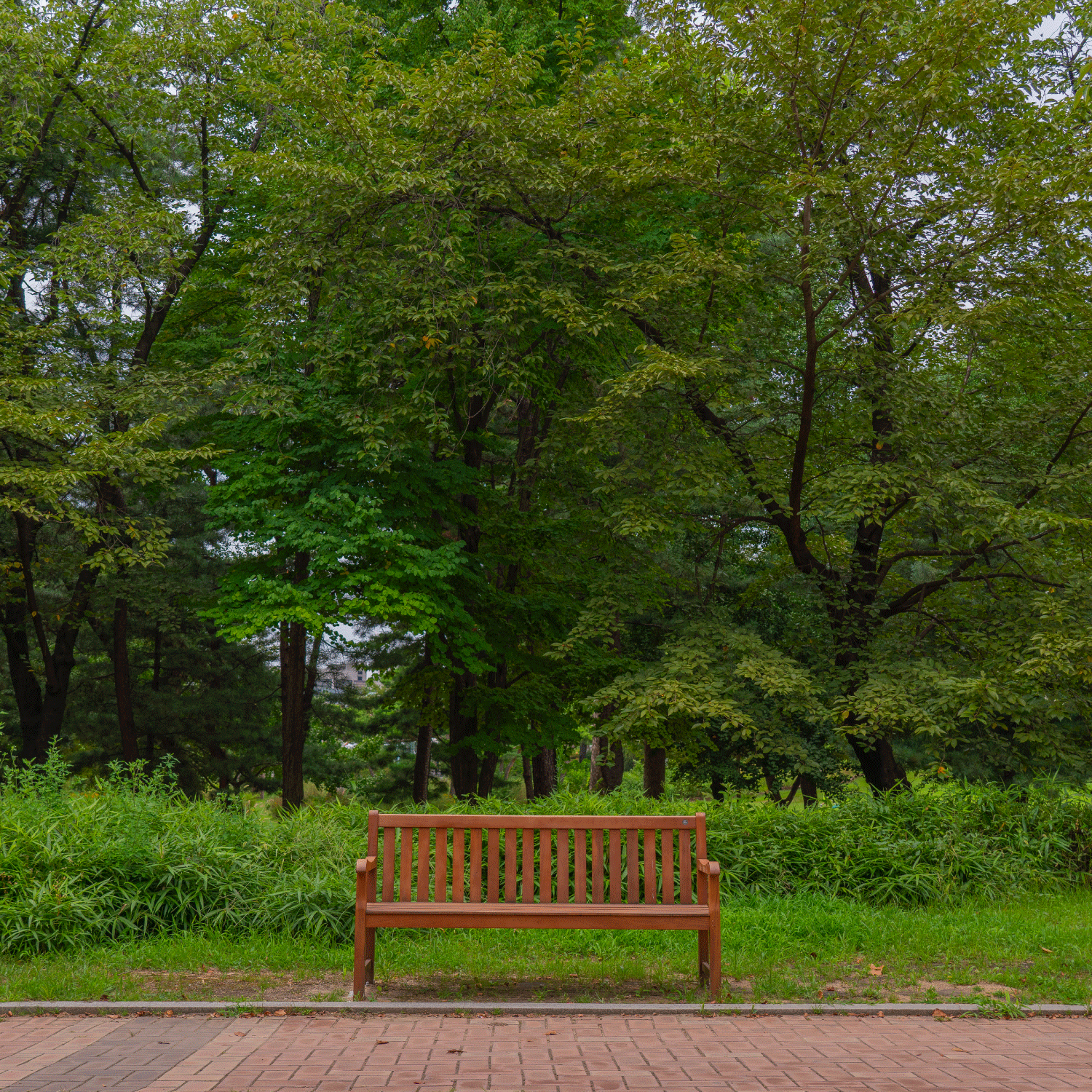 BSC_Promenade_bench2.png