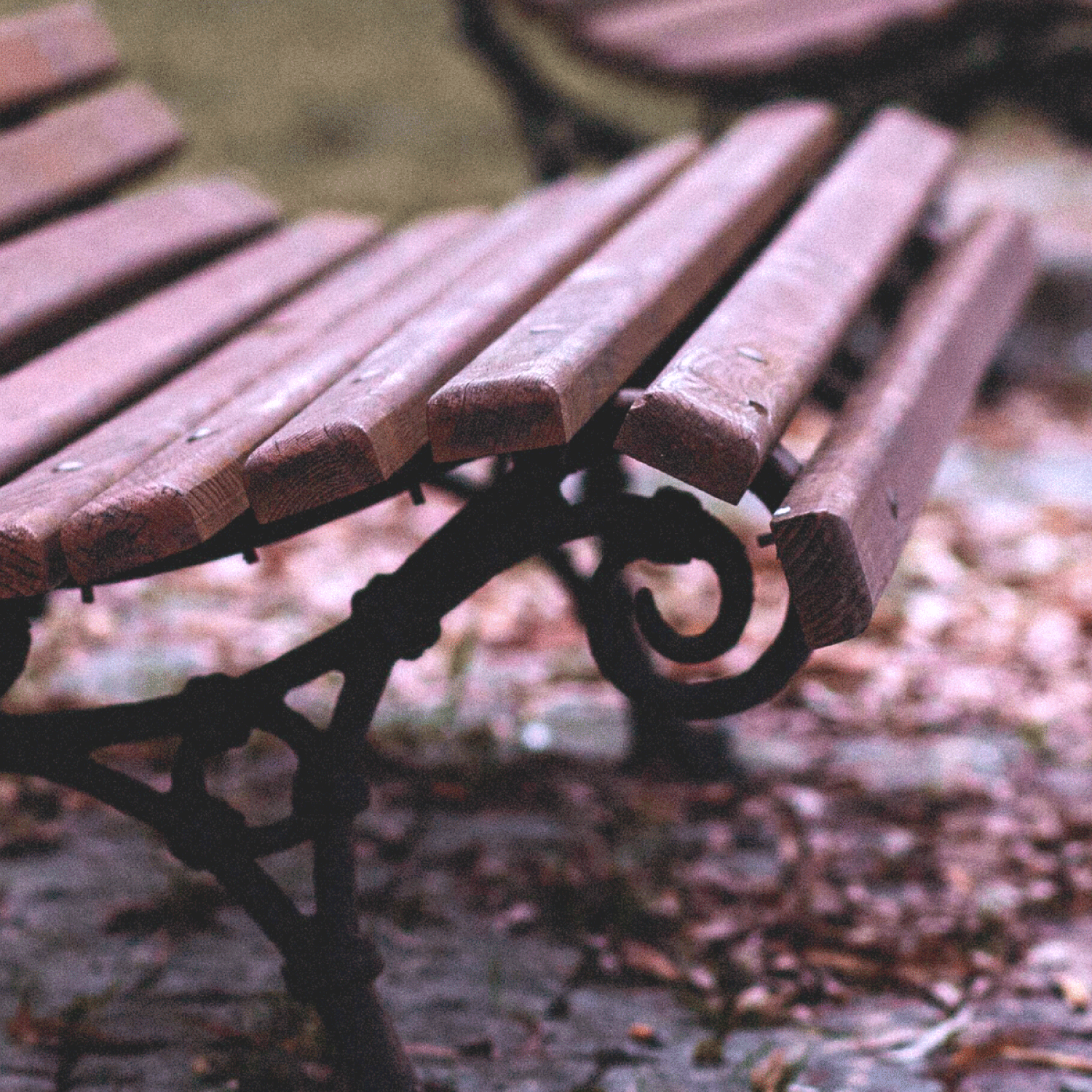 BSC_Promenade_Bench.png