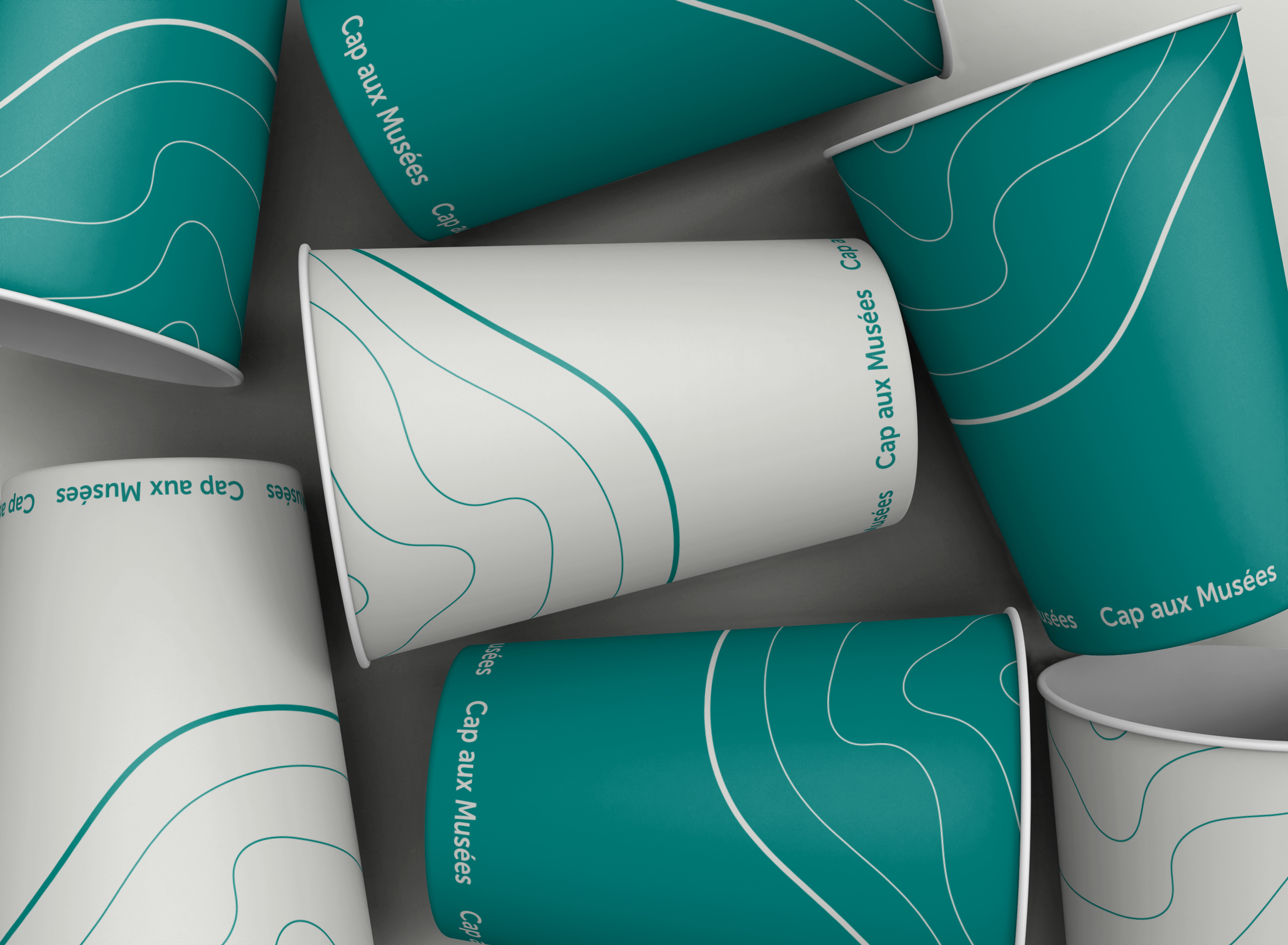 BSC24_CAM_merch1.png