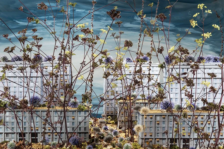 web_leHavre_39.JPG