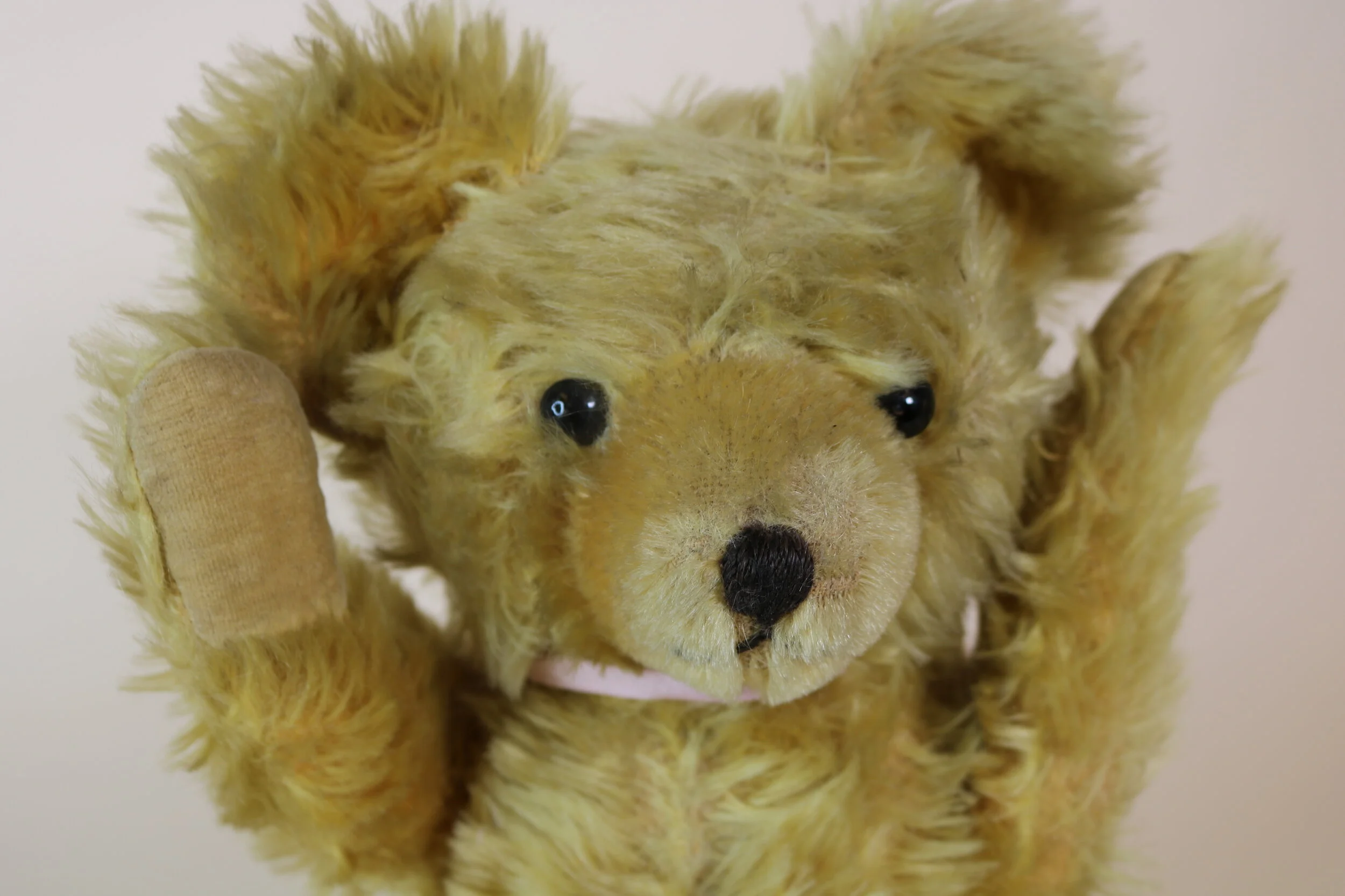mohair teddy