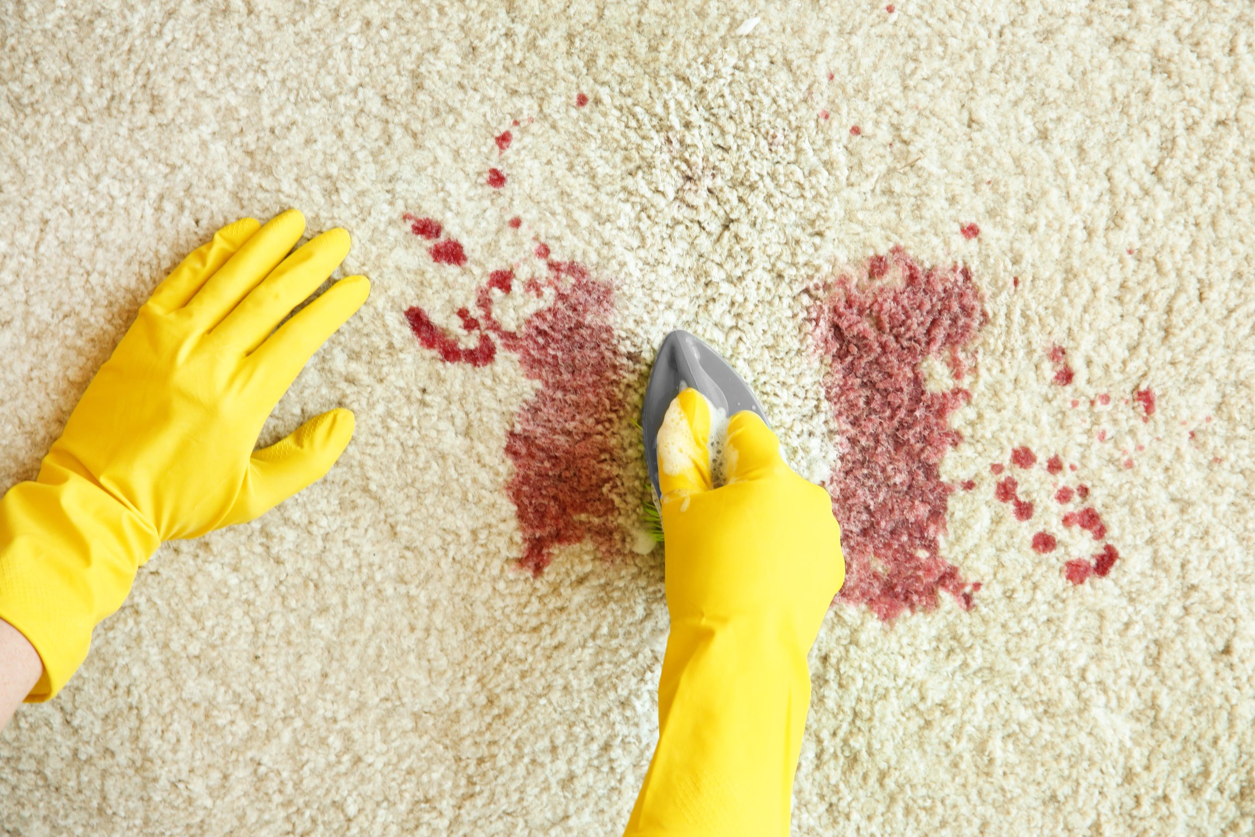 How to remove blood stains from carpet - Carpet Bright UK