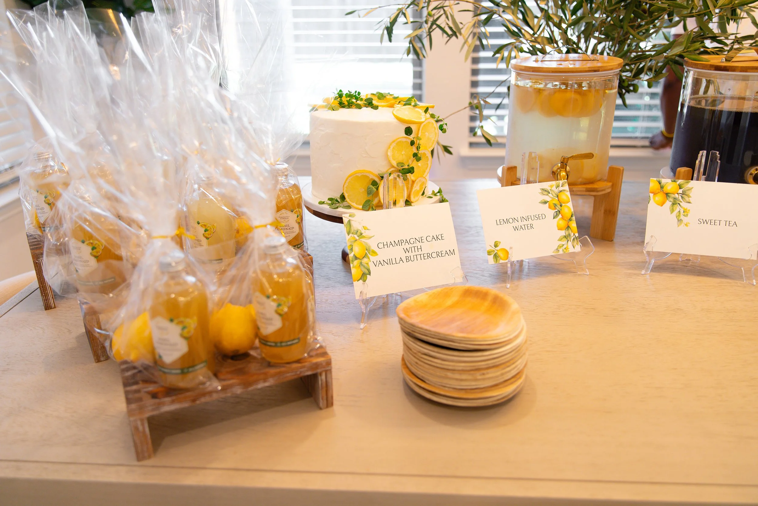 RS_BF_BabyShower-7.jpg