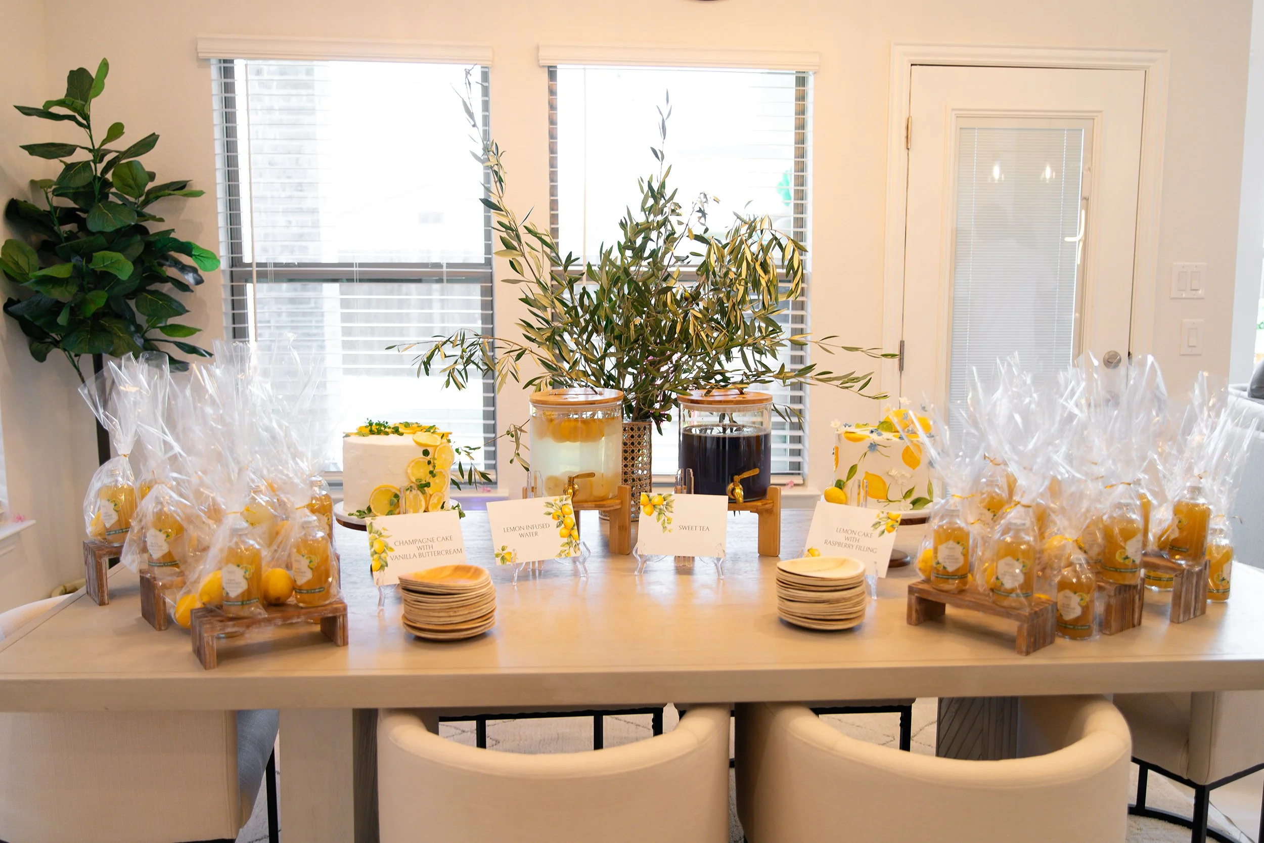 RS_BF_BabyShower-10.jpg