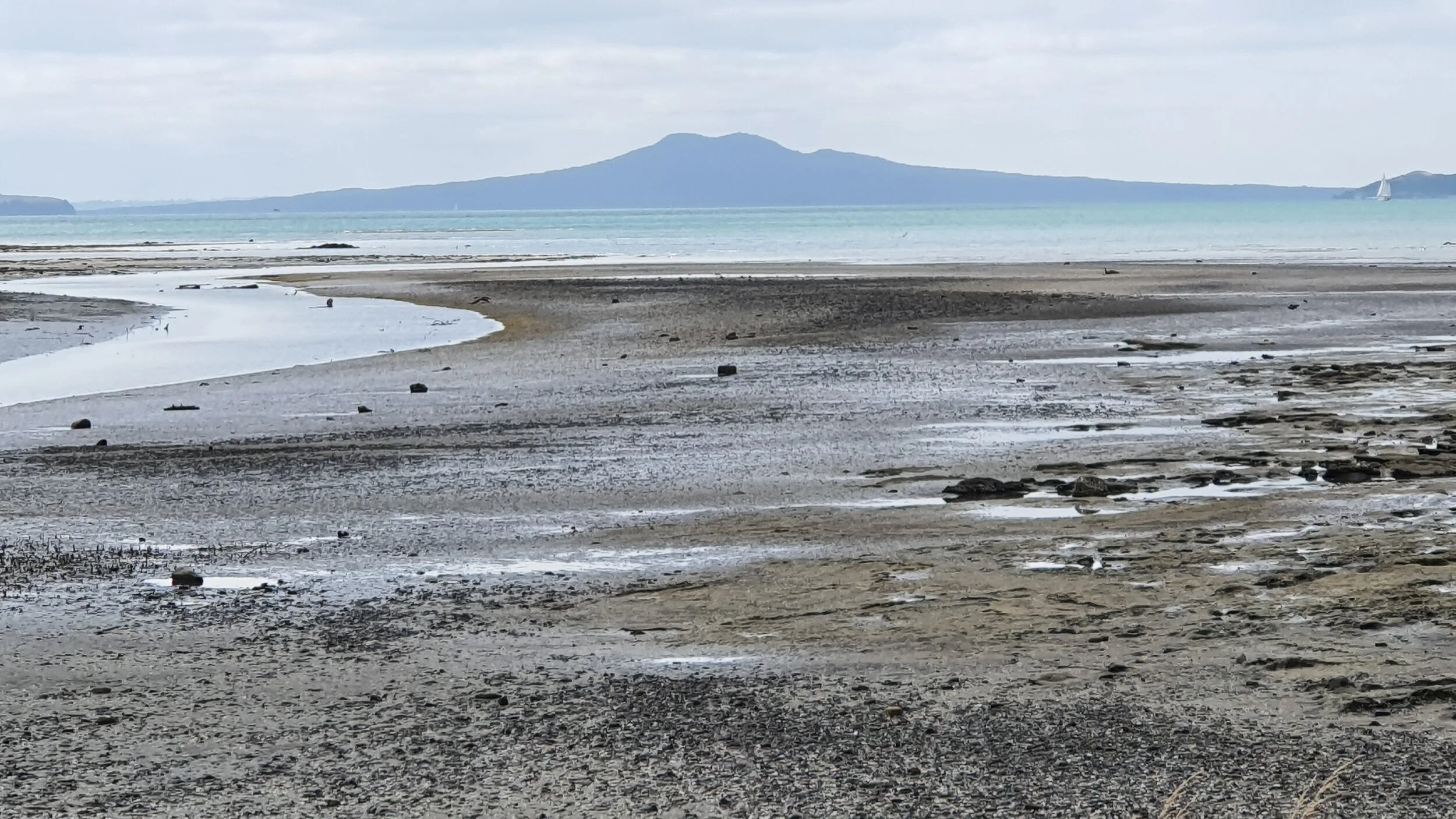 Rangitoto Island, Hauraki Gulf, Auckland New Zealand