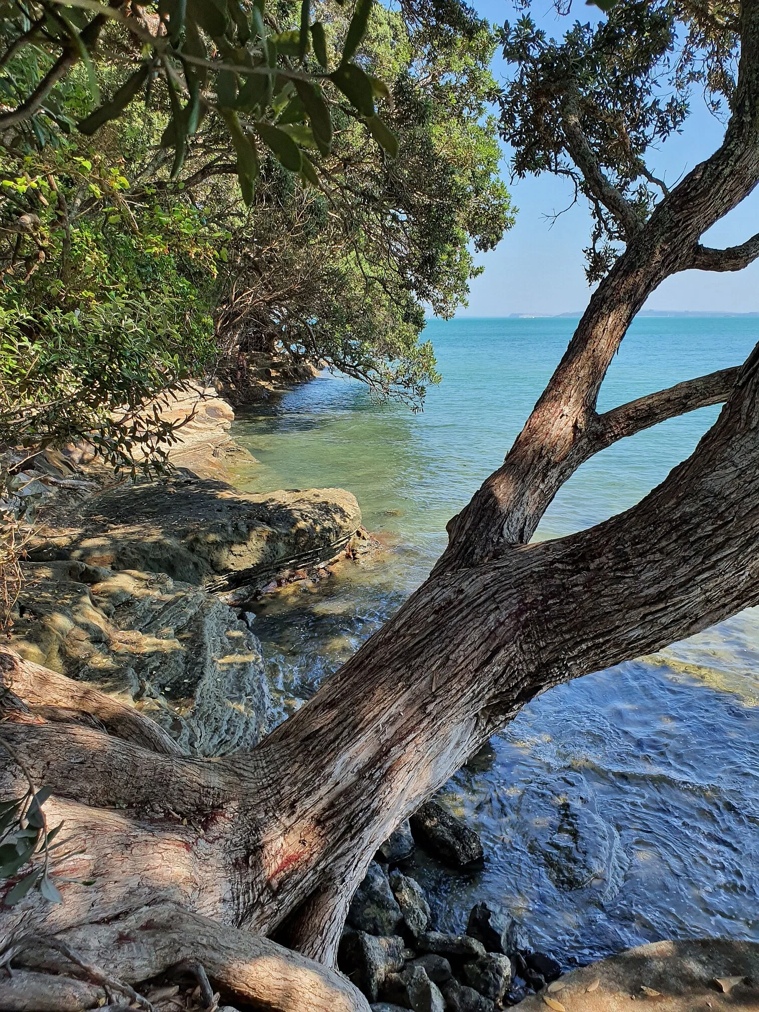 beachlands walkway4.jpg