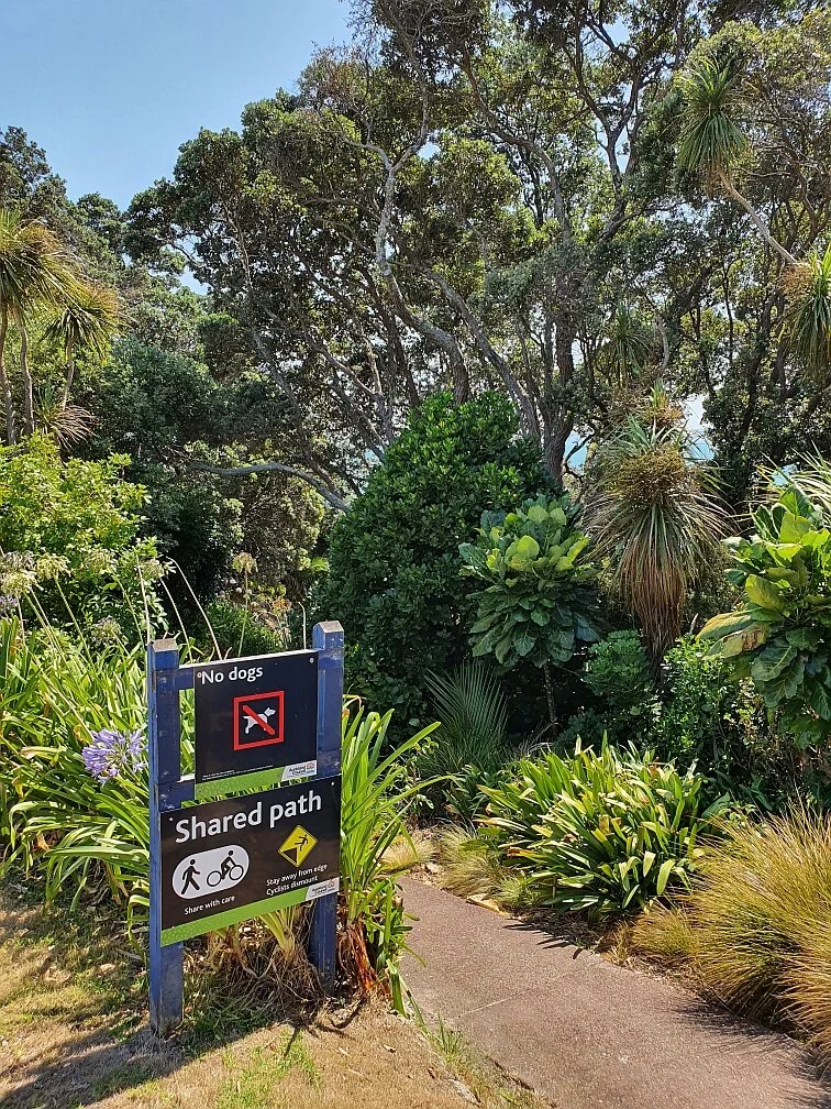 Sunkist Bay Beachlands Cherrie Rd Auckland New Zealand