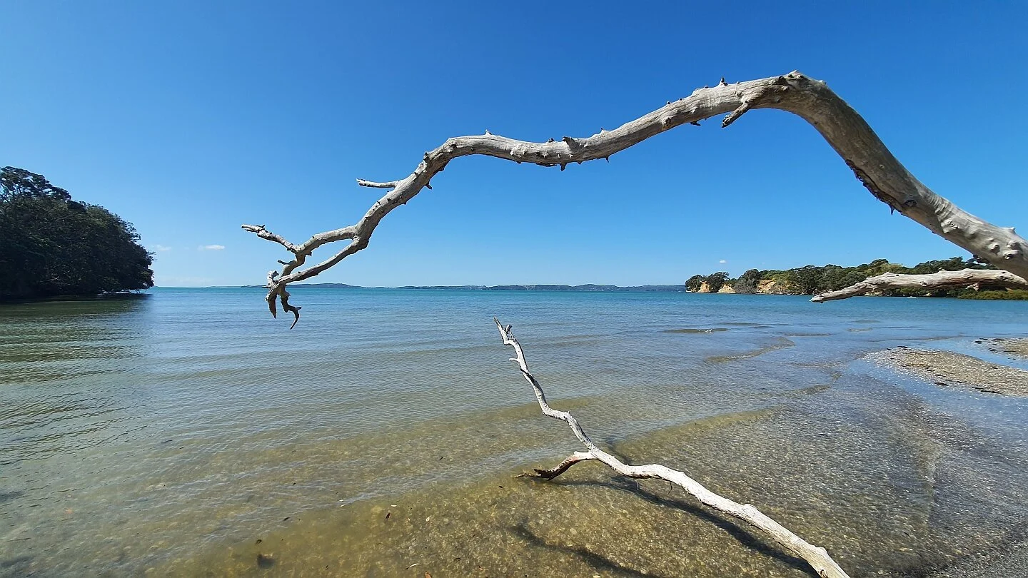 Kellys Beach Te Puru Auckland NZ