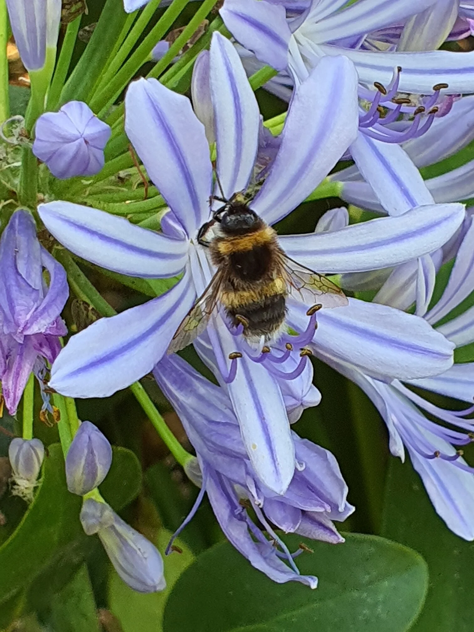 Sunkist Bay Walkway & Cycle Path, Beachlands, Auckland, New Zealand