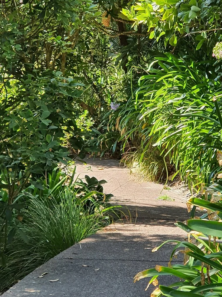 Secret Path, Sunkist Bay, Beachlands, Auckland NZ