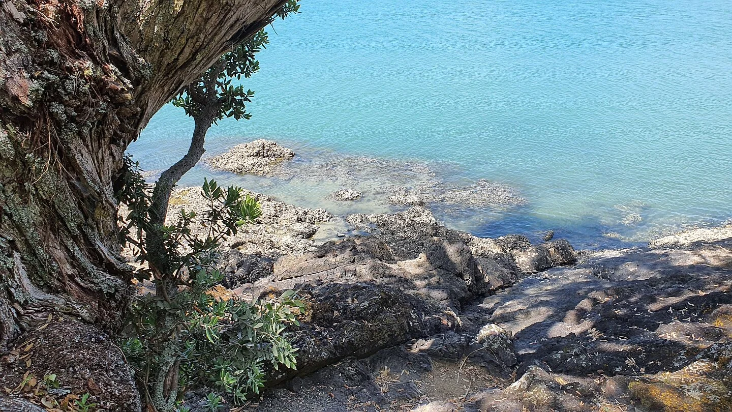 maraetai walkway4.jpg