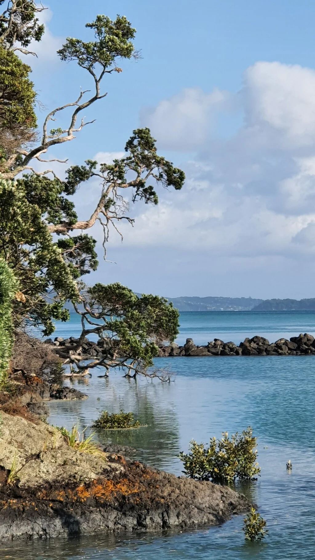 The Beachlands-Maraetai Walkway Auckland New Zealand